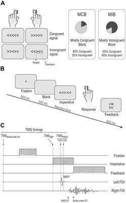 Effect of Aging on <mark class="highlighted">Motor Inhibition</mark> during Action Preparation under Sensory Conflict